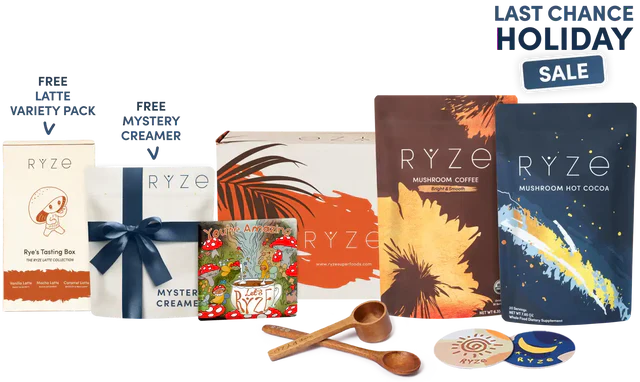Day + Night Bundle y3