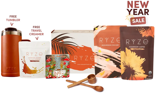 Lasting Energy Bundle g2