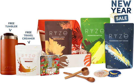 Day + Night Bundle i0
