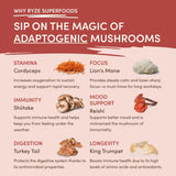 Mushroom Chai o0